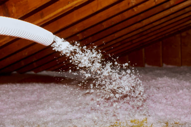 Best Attic Insulation Installation  in Falfurrias, TX